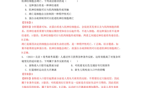 专题16内环境稳态和神经调节（解析版）_2024年新高考资料_1.2024一轮复习_备战2024年高考生物一轮复习抢分特训（全国通用）