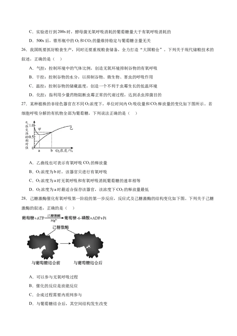 专题9细胞呼吸（原卷版)_2024年新高考资料_3.2024专项复习_备战2024年高考生物一轮复习重难点专项突破_专题09细胞呼吸-备战2024年高考生物一轮复习重难点专项突破
