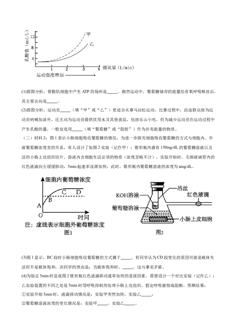 专题9细胞呼吸（原卷版)_2024年新高考资料_3.2024专项复习_备战2024年高考生物一轮复习重难点专项突破_专题09细胞呼吸-备战2024年高考生物一轮复习重难点专项突破