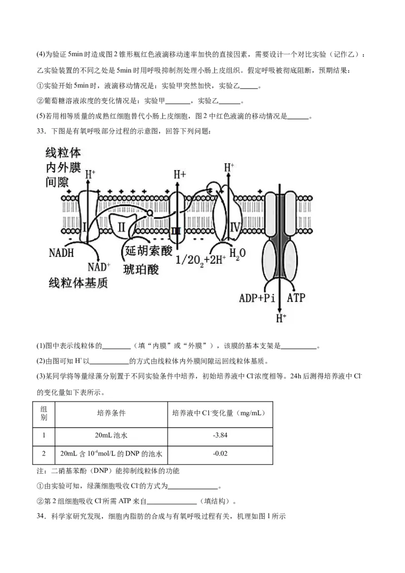 专题9细胞呼吸（原卷版)_2024年新高考资料_3.2024专项复习_备战2024年高考生物一轮复习重难点专项突破_专题09细胞呼吸-备战2024年高考生物一轮复习重难点专项突破