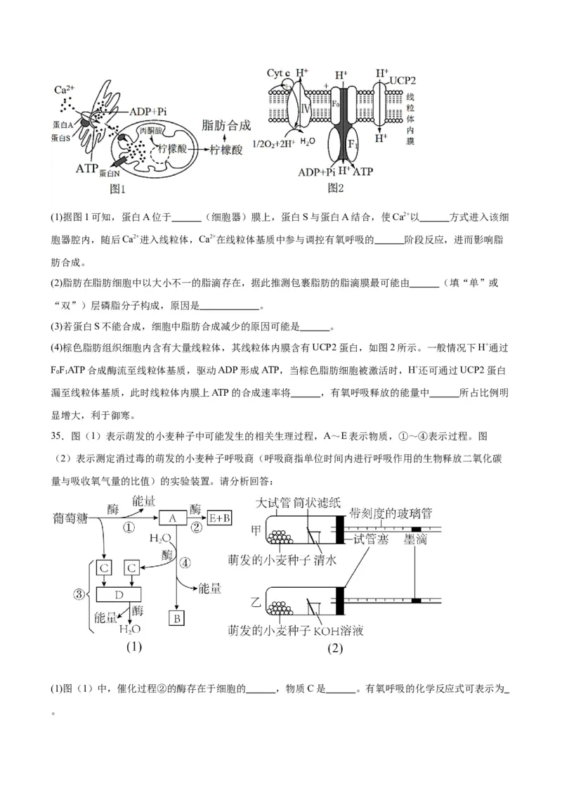 专题9细胞呼吸（原卷版)_2024年新高考资料_3.2024专项复习_备战2024年高考生物一轮复习重难点专项突破_专题09细胞呼吸-备战2024年高考生物一轮复习重难点专项突破