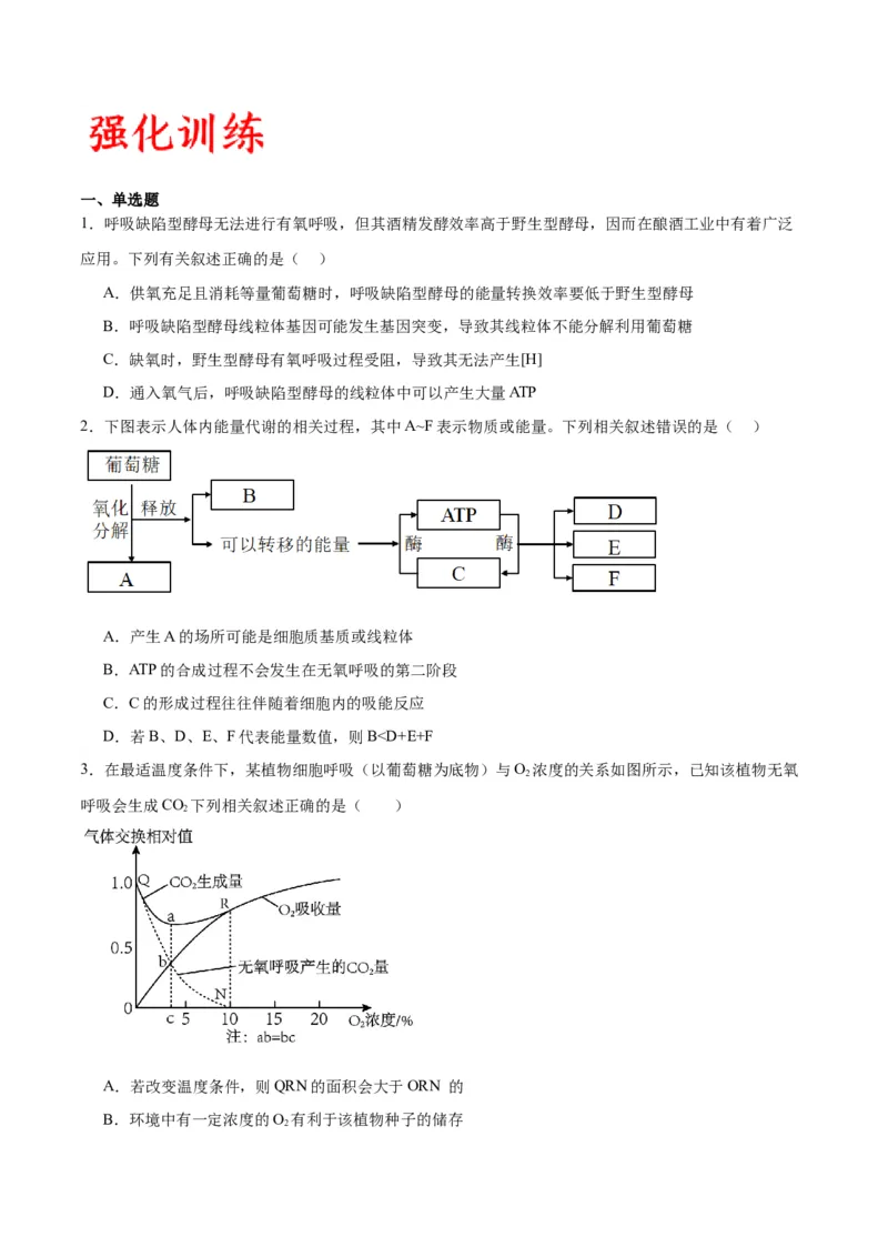 专题9细胞呼吸（原卷版)_2024年新高考资料_3.2024专项复习_备战2024年高考生物一轮复习重难点专项突破_专题09细胞呼吸-备战2024年高考生物一轮复习重难点专项突破