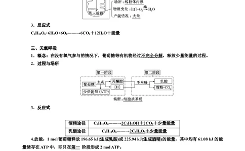 专题9细胞呼吸（原卷版)_2024年新高考资料_3.2024专项复习_备战2024年高考生物一轮复习重难点专项突破_专题09细胞呼吸-备战2024年高考生物一轮复习重难点专项突破