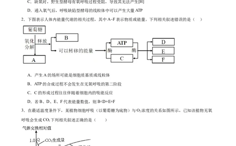 专题9细胞呼吸（原卷版)_2024年新高考资料_3.2024专项复习_备战2024年高考生物一轮复习重难点专项突破_专题09细胞呼吸-备战2024年高考生物一轮复习重难点专项突破