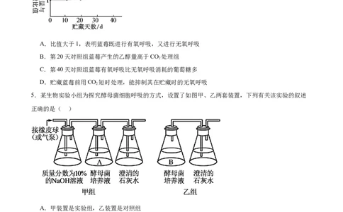 专题9细胞呼吸（原卷版)_2024年新高考资料_3.2024专项复习_备战2024年高考生物一轮复习重难点专项突破_专题09细胞呼吸-备战2024年高考生物一轮复习重难点专项突破