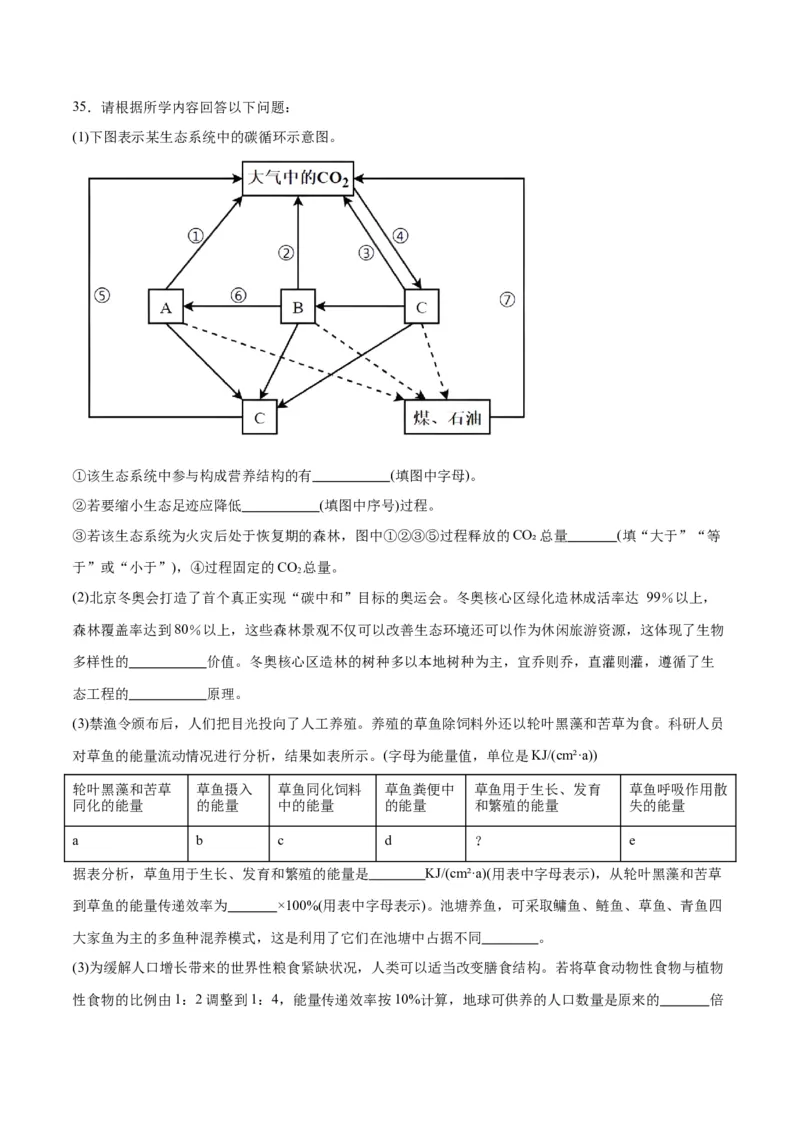 专题37人与环境、生态工程（解析版）_2024年新高考资料_3.2024专项复习_备战2024年高考生物一轮复习重难点专项突破_专题37人与环境、生态工程-备战2024年高考生物一轮复习重难点专项突破