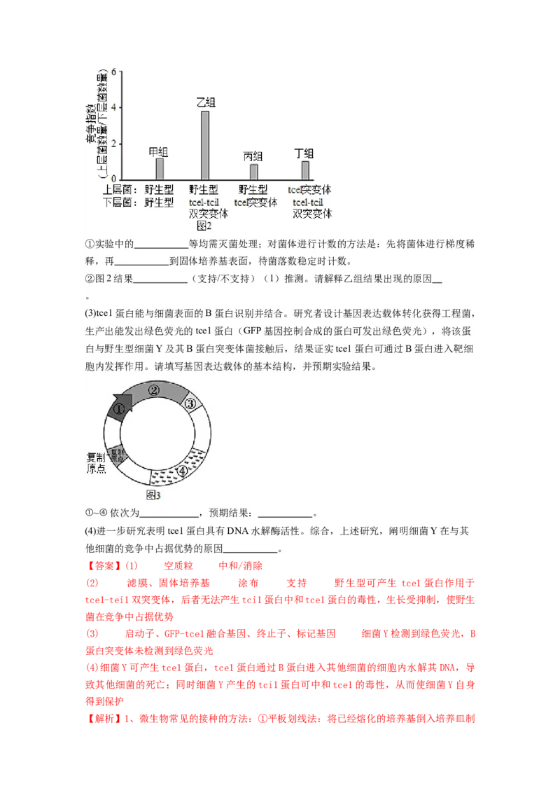 专题36发酵技术与发酵工程的应用（精练）（解析版）_2024年新高考资料_1.2024一轮复习_备战2024年高考生物一轮复习串讲精练（新高考专用）