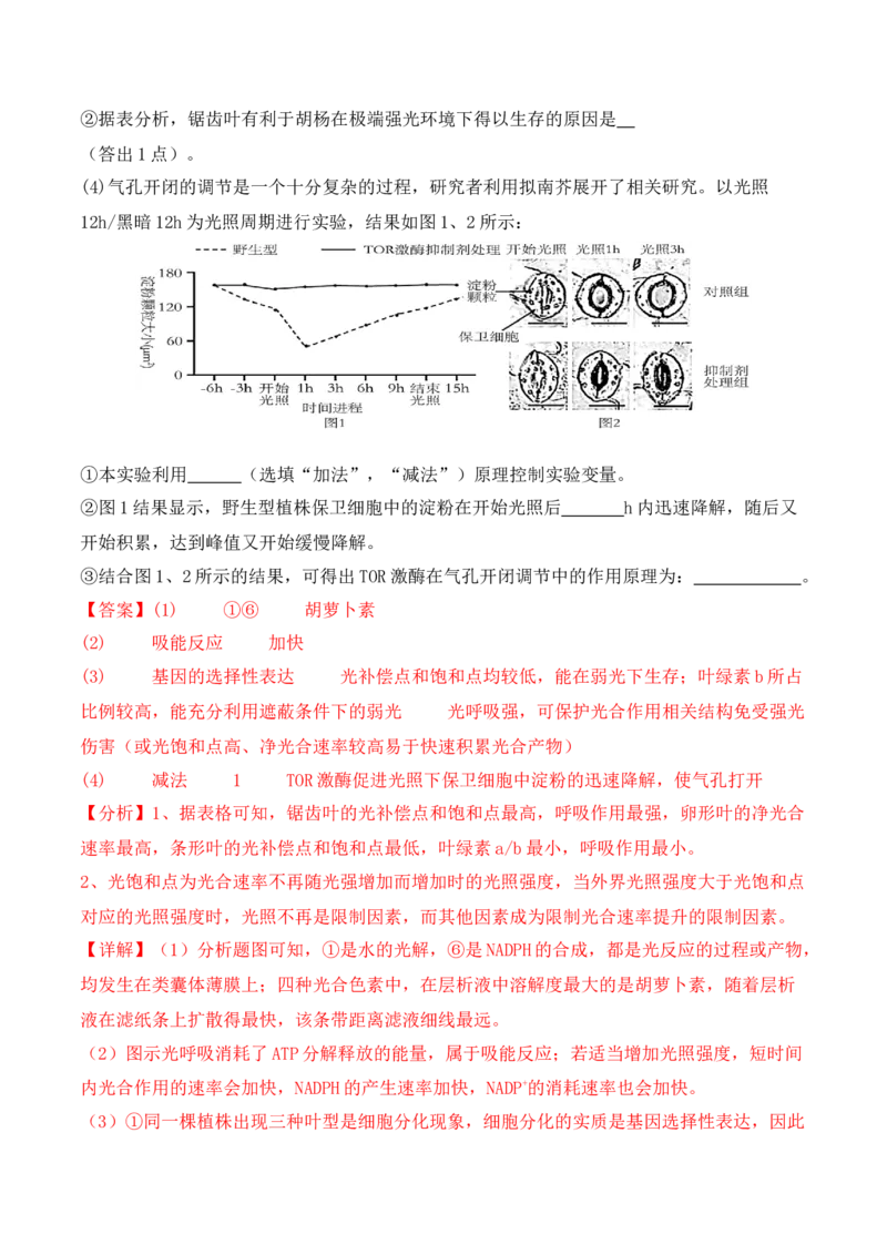 二轮题型突破卷（2）（解析版）_2024年新高考资料_2.2024二轮复习_2024年高考生物二轮热点题型归纳与变式演练（新高考通用）