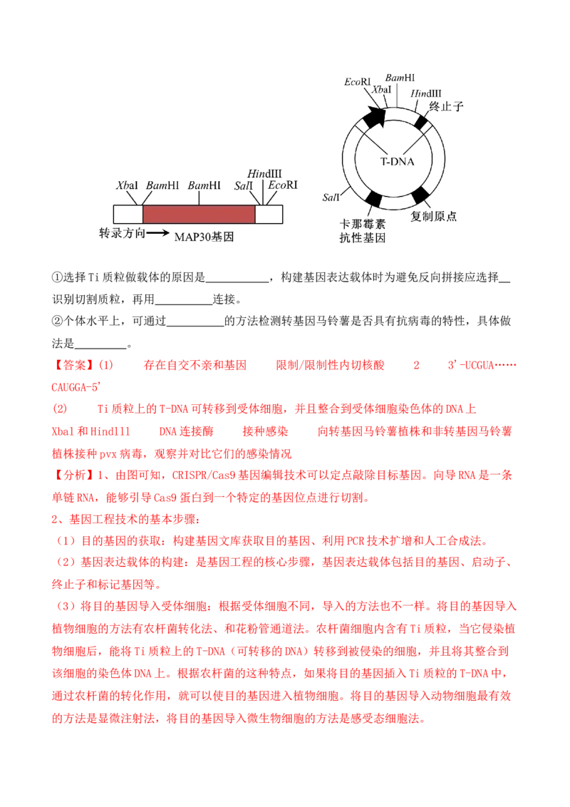 二轮题型突破卷（2）（解析版）_2024年新高考资料_2.2024二轮复习_2024年高考生物二轮热点题型归纳与变式演练（新高考通用）