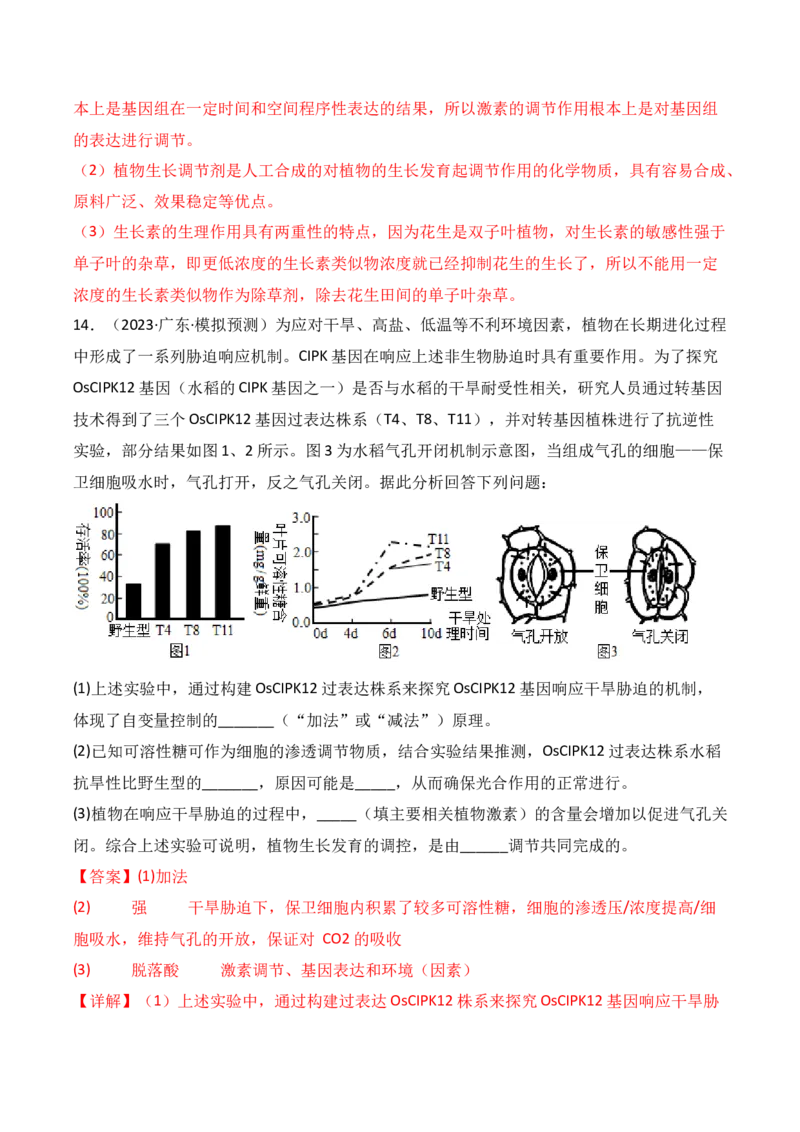 专题12植物的激素调节（解析版）_2024年新高考资料_3.2024专项复习_备战2024年高考生物一轮复习重难点突破讲解与训练（新教材）