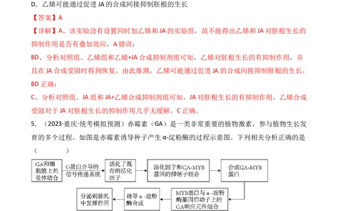 专题12植物的激素调节（解析版）_2024年新高考资料_3.2024专项复习_备战2024年高考生物一轮复习重难点突破讲解与训练（新教材）