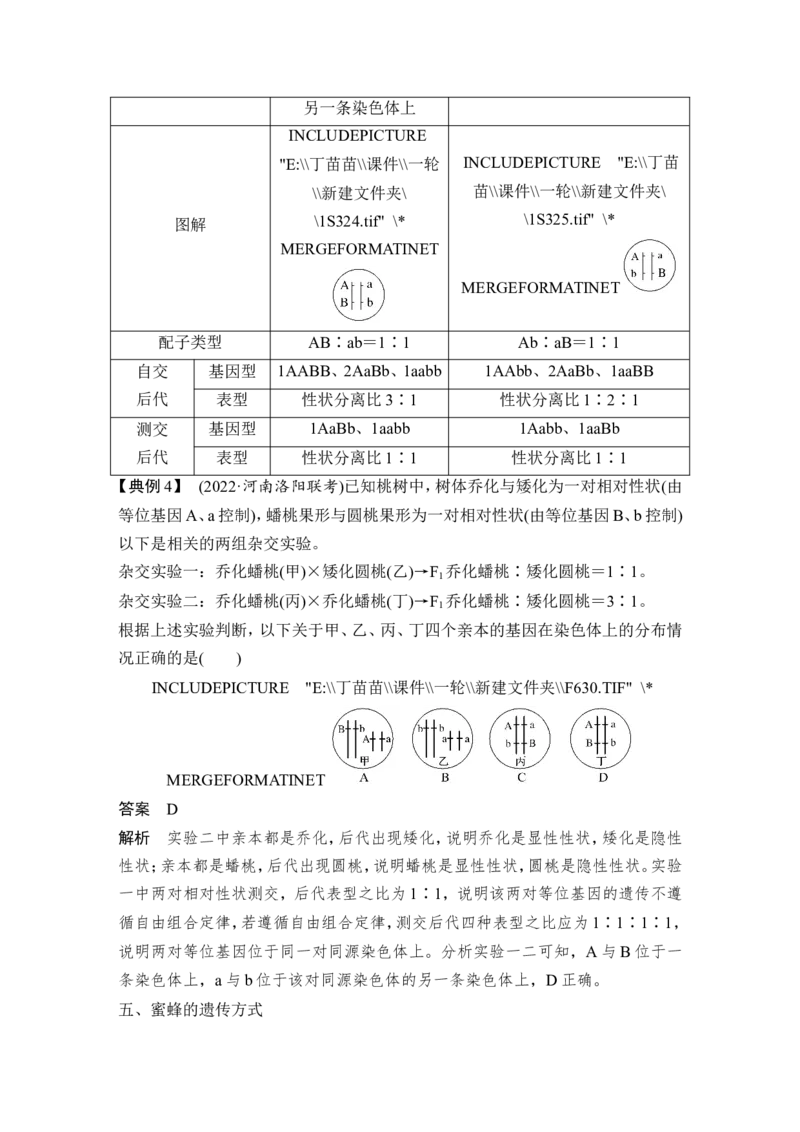 微专题8自由组合定律中的特殊比例及成因_2024年新高考资料_1.2024一轮复习_2024年高考生物一轮复习讲义（新人教版）_另附1套Word版题库_必修2_第五单元遗传的基本规律
