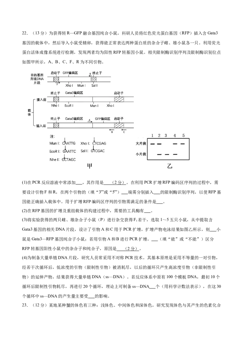 2024年高考冲刺模拟试卷（二）（原卷版）_2024年新高考资料_5.2024三轮冲刺_2024年高考生物考前最后冲刺