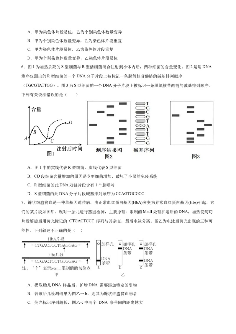 2024年高考冲刺模拟试卷（二）（原卷版）_2024年新高考资料_5.2024三轮冲刺_2024年高考生物考前最后冲刺