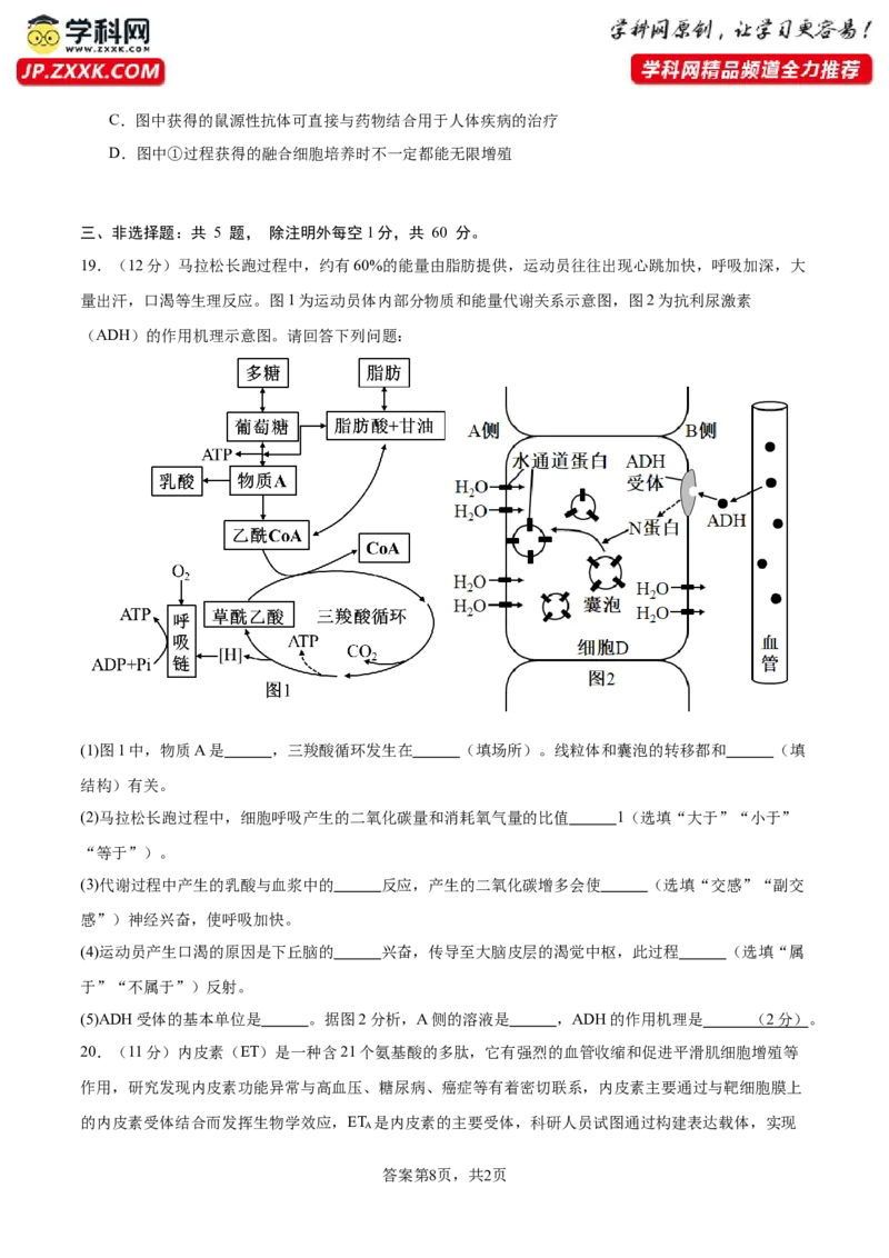 2024年高考冲刺模拟试卷（二）（原卷版）_2024年新高考资料_5.2024三轮冲刺_2024年高考生物考前最后冲刺