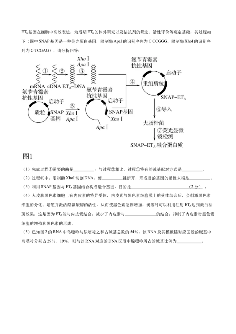 2024年高考冲刺模拟试卷（二）（原卷版）_2024年新高考资料_5.2024三轮冲刺_2024年高考生物考前最后冲刺