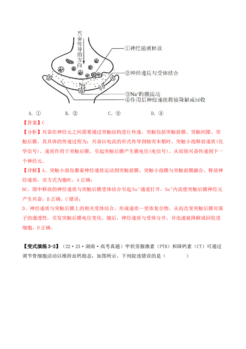 专题03&ldquo;信息&rdquo;类题型&mdash;&mdash;善用转化法（解析版）_2024年新高考资料_2.2024二轮复习_2024年高考生物二轮热点题型归纳与变式演练（新高考通用）