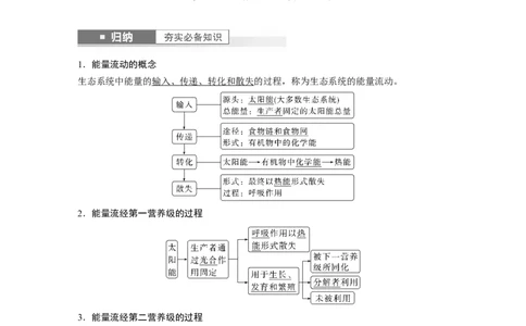 2024年高考生物一轮复习（新人教版）第9单元　第6课时　生态系统的能量流动_2024年新高考资料_1.2024一轮复习_2024年高考生物一轮复习讲义（新人教版）