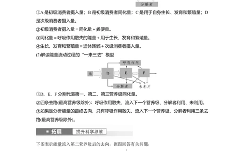 2024年高考生物一轮复习（新人教版）第9单元　第6课时　生态系统的能量流动_2024年新高考资料_1.2024一轮复习_2024年高考生物一轮复习讲义（新人教版）