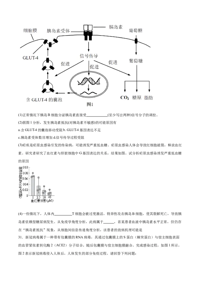 专题30免疫失调和免疫学的应用（原卷版)_2024年新高考资料_3.2024专项复习_备战2024年高考生物一轮复习重难点专项突破