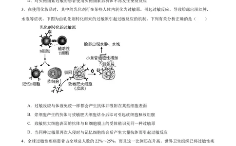 专题30免疫失调和免疫学的应用（原卷版)_2024年新高考资料_3.2024专项复习_备战2024年高考生物一轮复习重难点专项突破