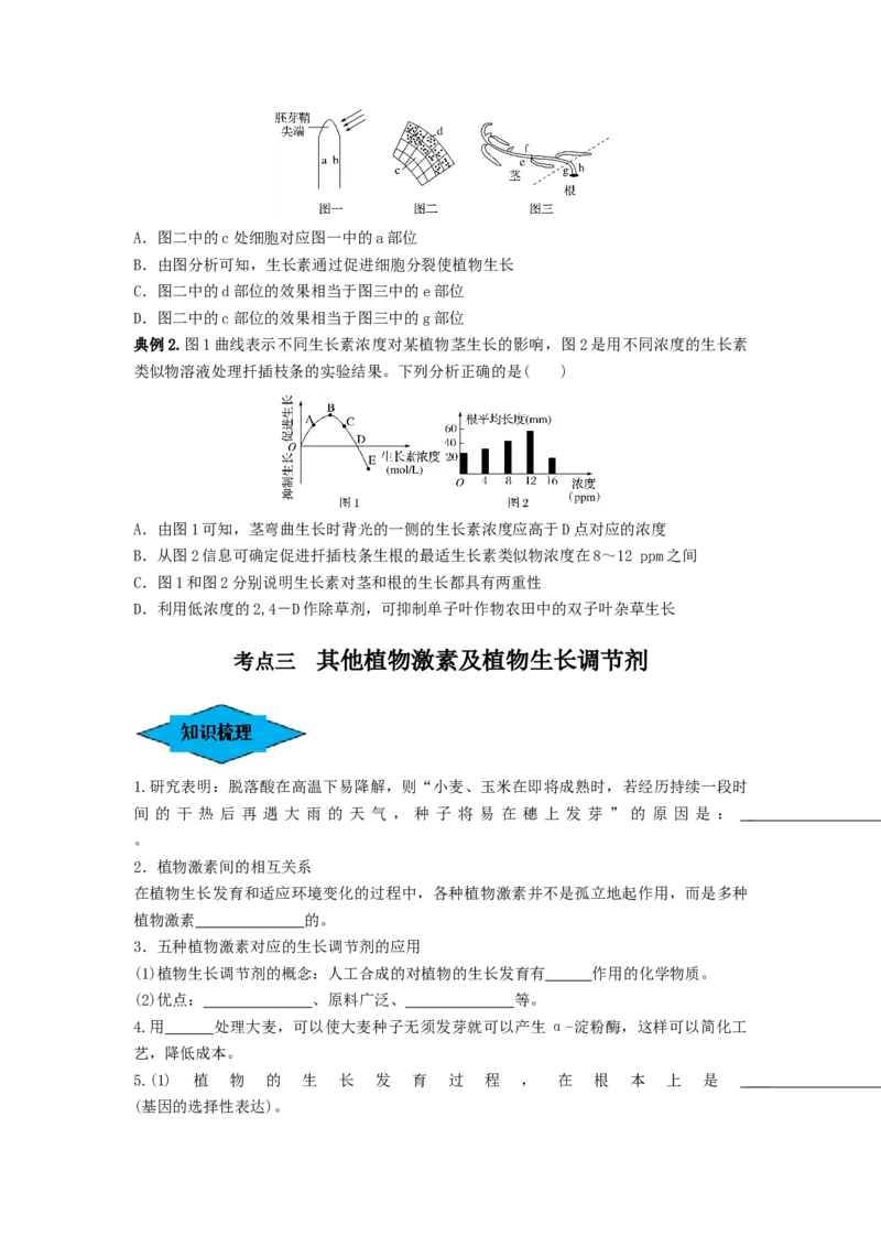 专题27植物生命活动的调节（串讲）（原卷版）_2024年新高考资料_1.2024一轮复习_备战2024年高考生物一轮复习串讲精练（新高考专用）