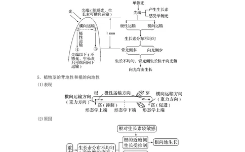 专题27植物生命活动的调节（串讲）（原卷版）_2024年新高考资料_1.2024一轮复习_备战2024年高考生物一轮复习串讲精练（新高考专用）
