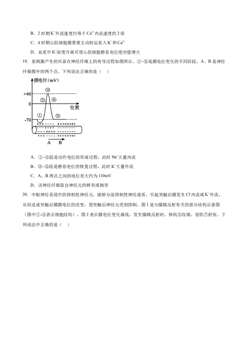 专题26神经调节（原卷版)_2024年新高考资料_3.2024专项复习_备战2024年高考生物一轮复习重难点专项突破_专题26神经调节-备战2024年高考生物一轮复习重难点专项突破