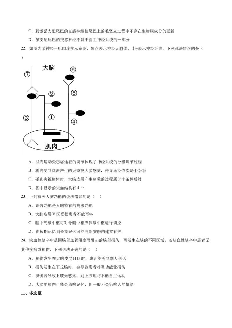 专题26神经调节（原卷版)_2024年新高考资料_3.2024专项复习_备战2024年高考生物一轮复习重难点专项突破_专题26神经调节-备战2024年高考生物一轮复习重难点专项突破