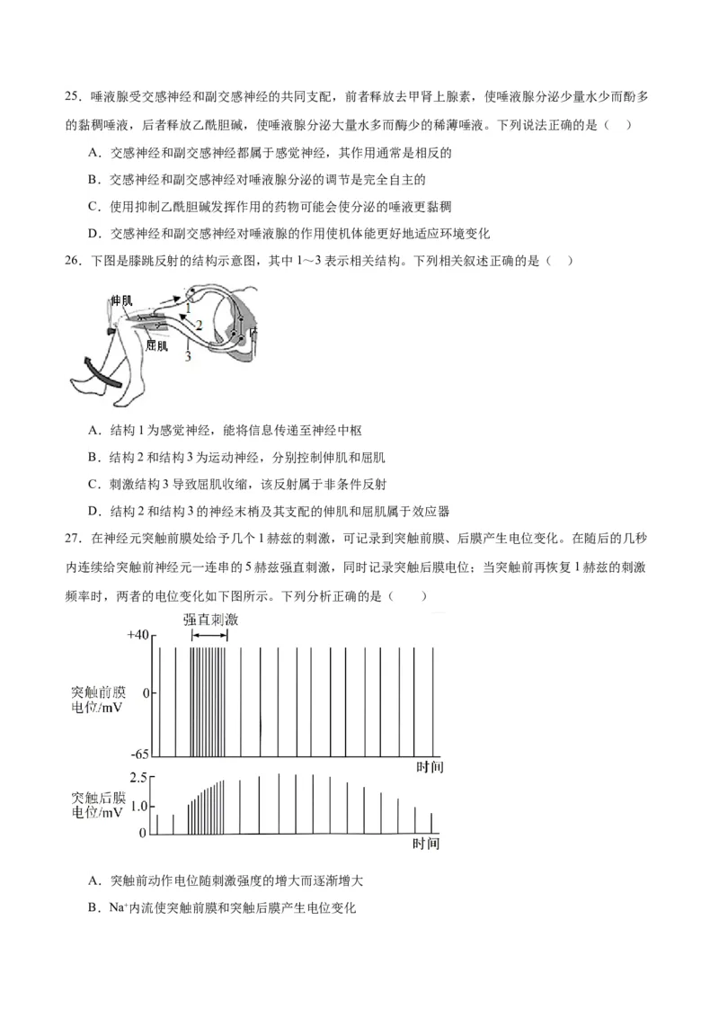 专题26神经调节（原卷版)_2024年新高考资料_3.2024专项复习_备战2024年高考生物一轮复习重难点专项突破_专题26神经调节-备战2024年高考生物一轮复习重难点专项突破