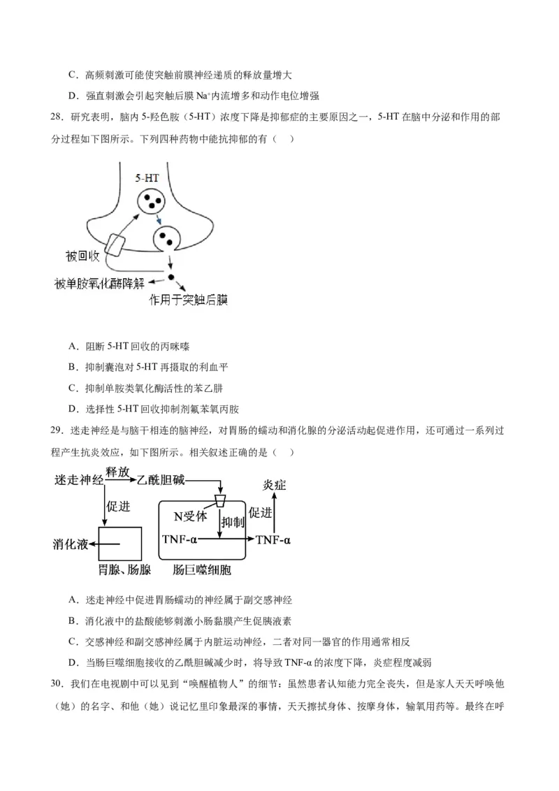 专题26神经调节（原卷版)_2024年新高考资料_3.2024专项复习_备战2024年高考生物一轮复习重难点专项突破_专题26神经调节-备战2024年高考生物一轮复习重难点专项突破