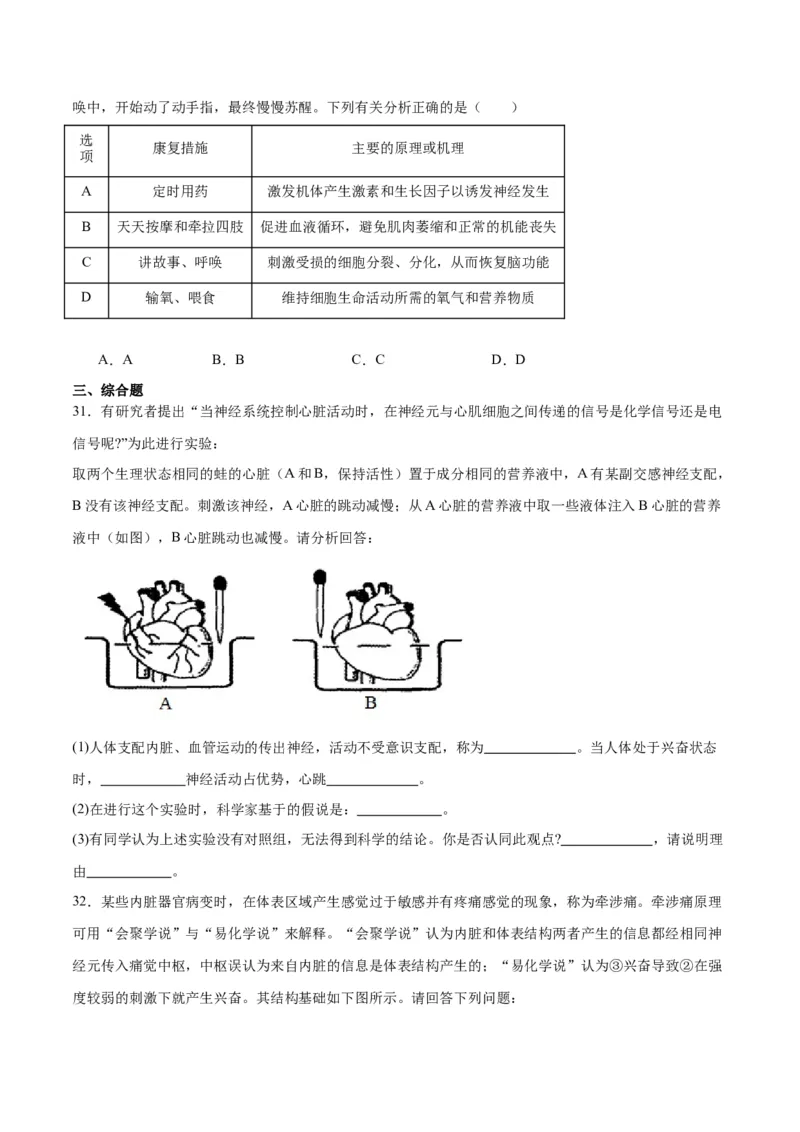 专题26神经调节（原卷版)_2024年新高考资料_3.2024专项复习_备战2024年高考生物一轮复习重难点专项突破_专题26神经调节-备战2024年高考生物一轮复习重难点专项突破