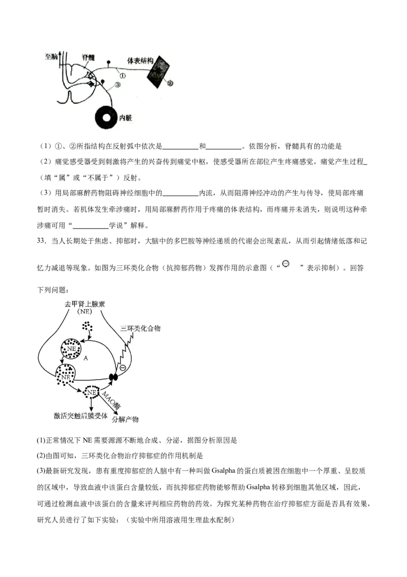 专题26神经调节（原卷版)_2024年新高考资料_3.2024专项复习_备战2024年高考生物一轮复习重难点专项突破_专题26神经调节-备战2024年高考生物一轮复习重难点专项突破