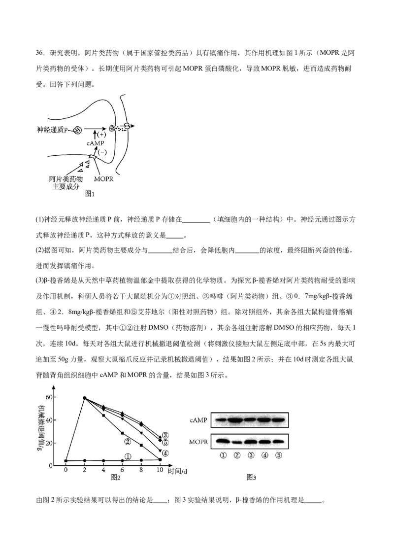专题26神经调节（原卷版)_2024年新高考资料_3.2024专项复习_备战2024年高考生物一轮复习重难点专项突破_专题26神经调节-备战2024年高考生物一轮复习重难点专项突破