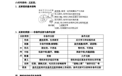 专题26神经调节（原卷版)_2024年新高考资料_3.2024专项复习_备战2024年高考生物一轮复习重难点专项突破_专题26神经调节-备战2024年高考生物一轮复习重难点专项突破