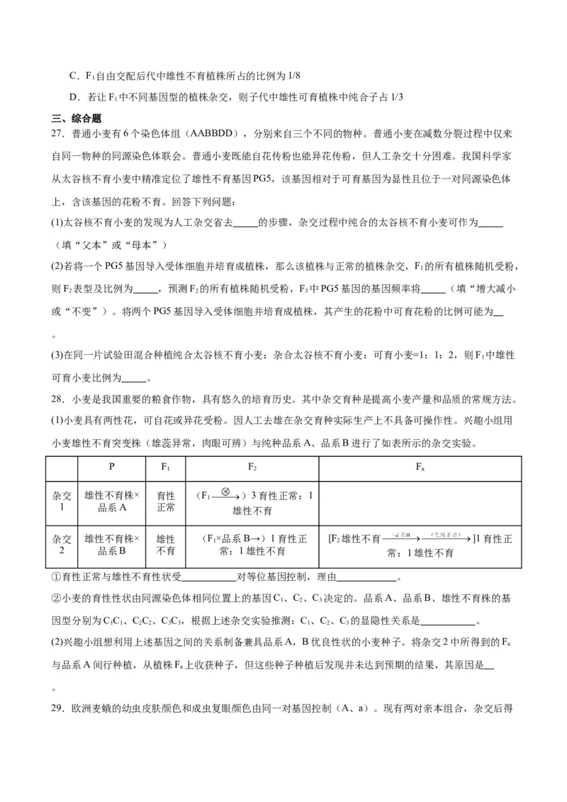 专题16分离定律（原卷版)_2024年新高考资料_3.2024专项复习_备战2024年高考生物一轮复习重难点专项突破_专题16分离定律