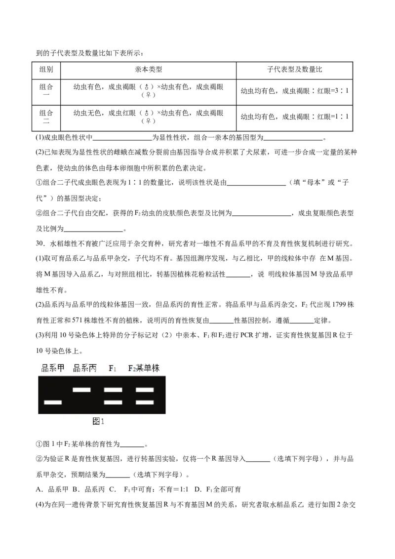 专题16分离定律（原卷版)_2024年新高考资料_3.2024专项复习_备战2024年高考生物一轮复习重难点专项突破_专题16分离定律