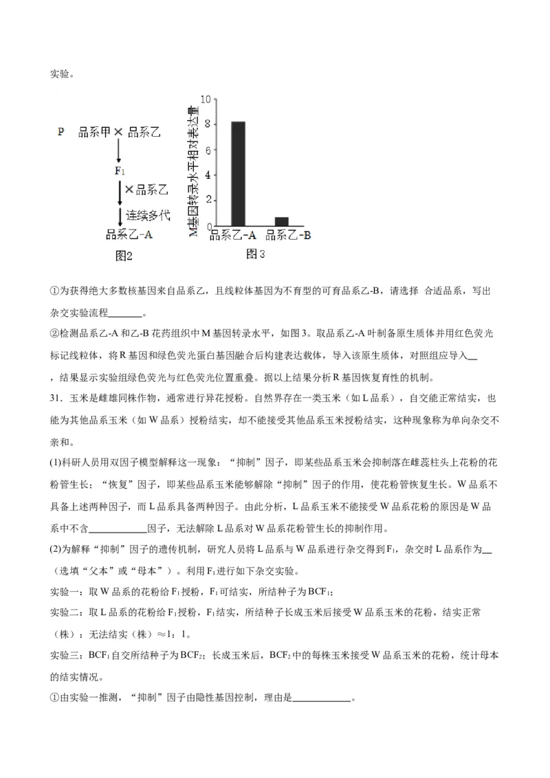 专题16分离定律（原卷版)_2024年新高考资料_3.2024专项复习_备战2024年高考生物一轮复习重难点专项突破_专题16分离定律