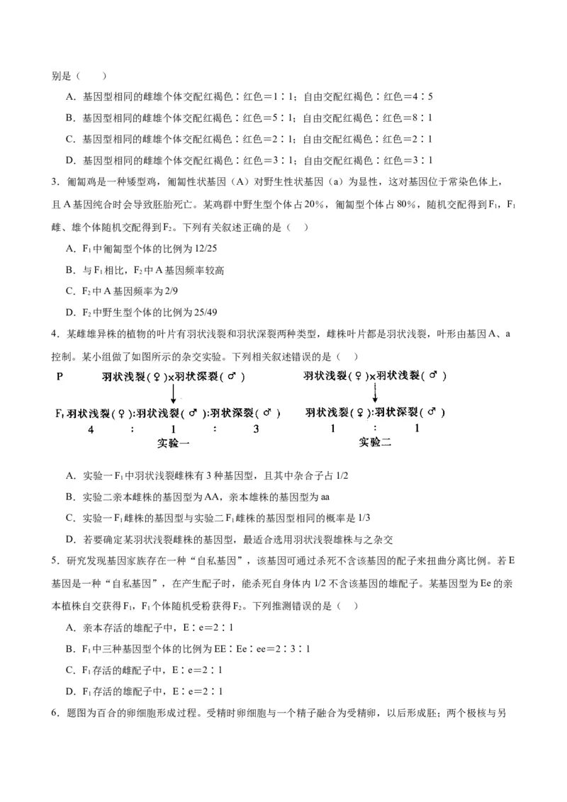 专题16分离定律（原卷版)_2024年新高考资料_3.2024专项复习_备战2024年高考生物一轮复习重难点专项突破_专题16分离定律