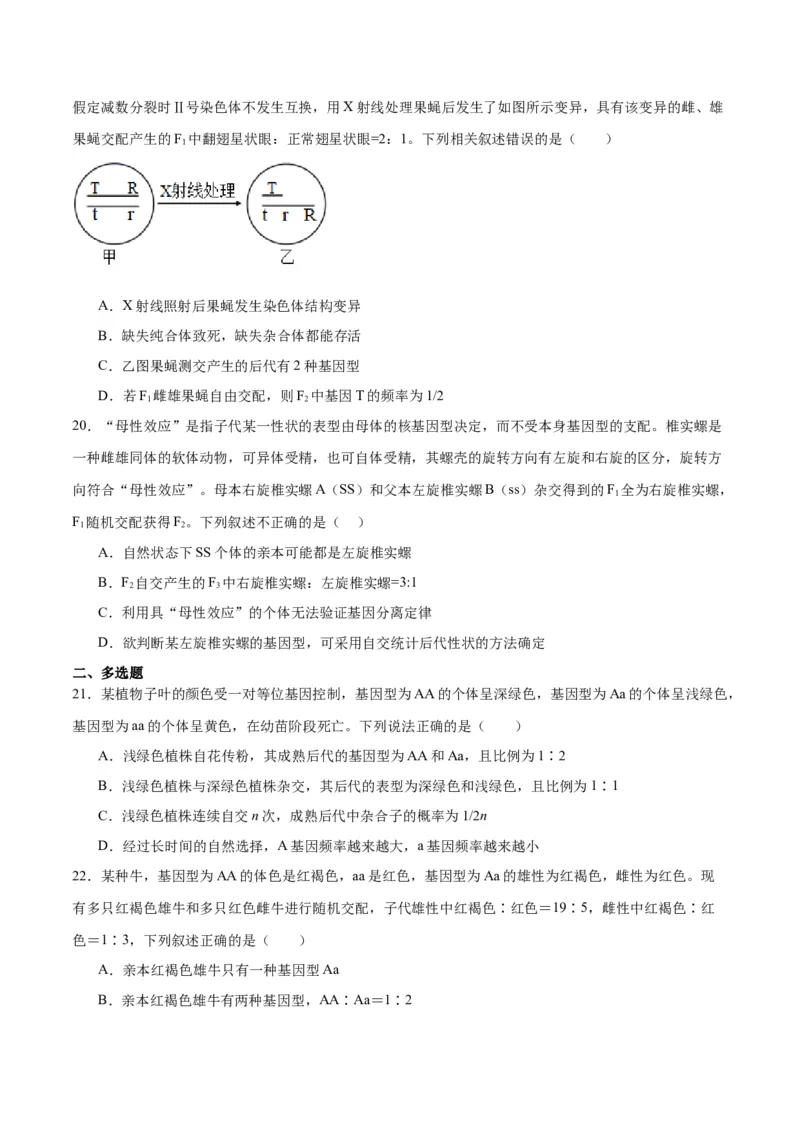 专题16分离定律（原卷版)_2024年新高考资料_3.2024专项复习_备战2024年高考生物一轮复习重难点专项突破_专题16分离定律