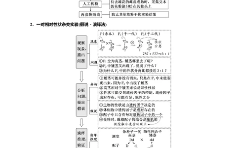 专题16分离定律（原卷版)_2024年新高考资料_3.2024专项复习_备战2024年高考生物一轮复习重难点专项突破_专题16分离定律