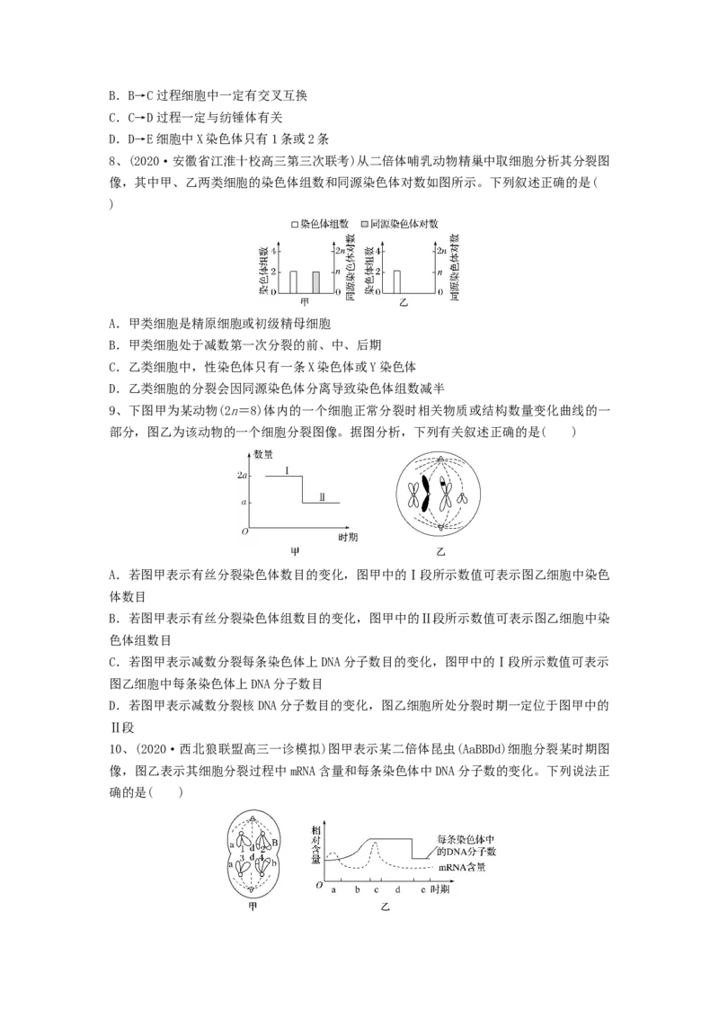 专题12减数分裂和受精作用（精练）（原卷版）_2024年新高考资料_1.2024一轮复习_备战2024年高考生物一轮复习串讲精练（新高考专用）