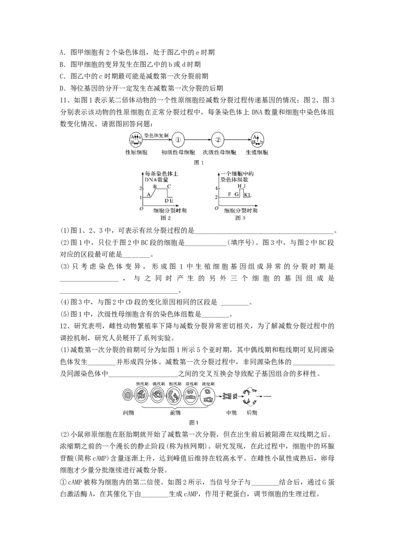 专题12减数分裂和受精作用（精练）（原卷版）_2024年新高考资料_1.2024一轮复习_备战2024年高考生物一轮复习串讲精练（新高考专用）