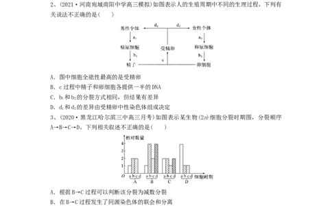 专题12减数分裂和受精作用（精练）（原卷版）_2024年新高考资料_1.2024一轮复习_备战2024年高考生物一轮复习串讲精练（新高考专用）