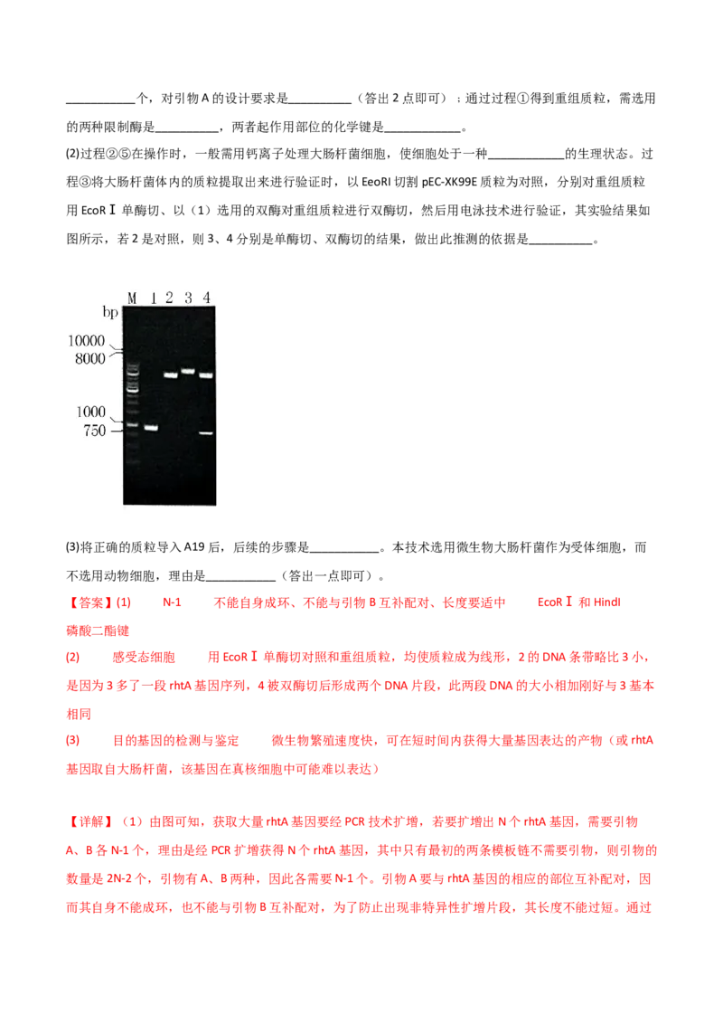 专题18基因工程（解析版）_2024年新高考资料_3.2024专项复习_备战2024年高考生物一轮复习重难点突破讲解与训练（新教材）