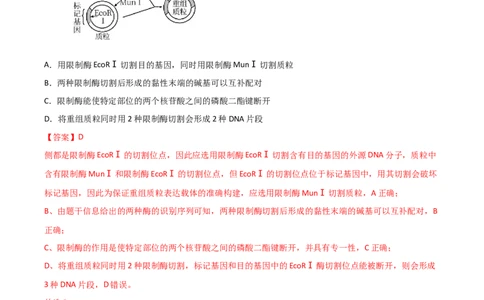 专题18基因工程（解析版）_2024年新高考资料_3.2024专项复习_备战2024年高考生物一轮复习重难点突破讲解与训练（新教材）