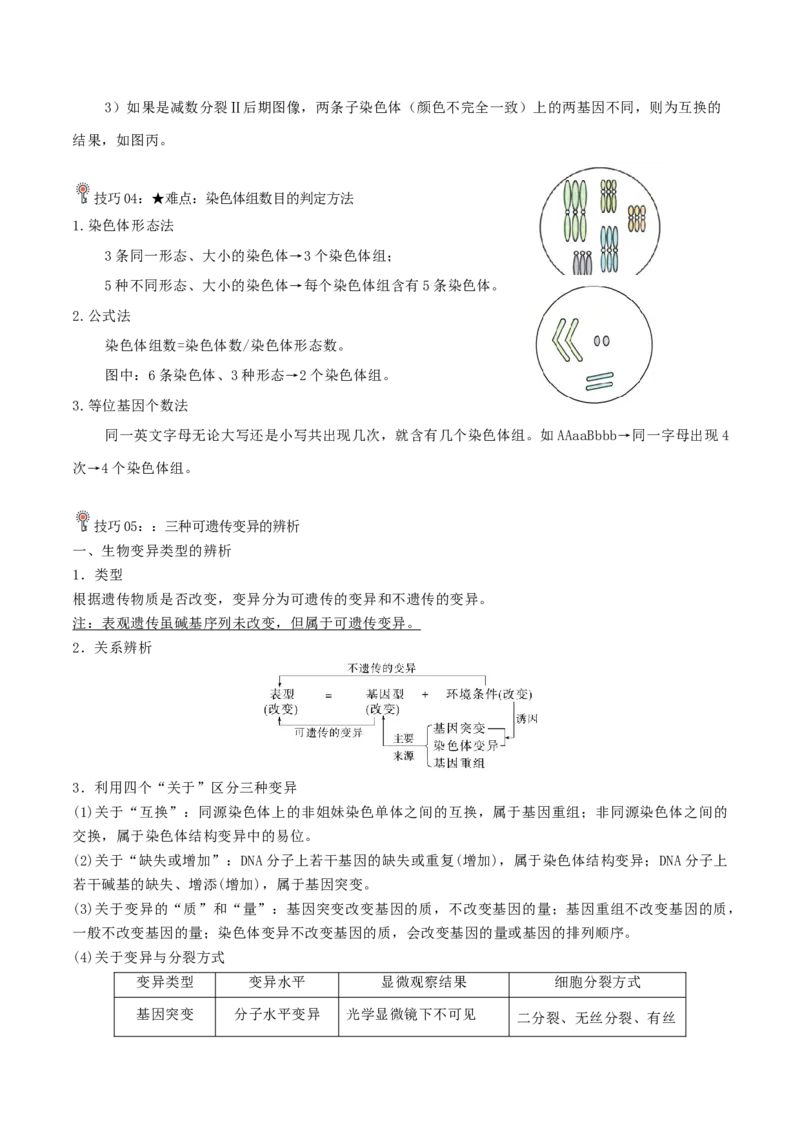 专题02遗传和进化（原卷版）_2024年新高考资料_3.2024专项复习_2024年高考生物热点&middot;重点&middot;难点专练（上海专用）