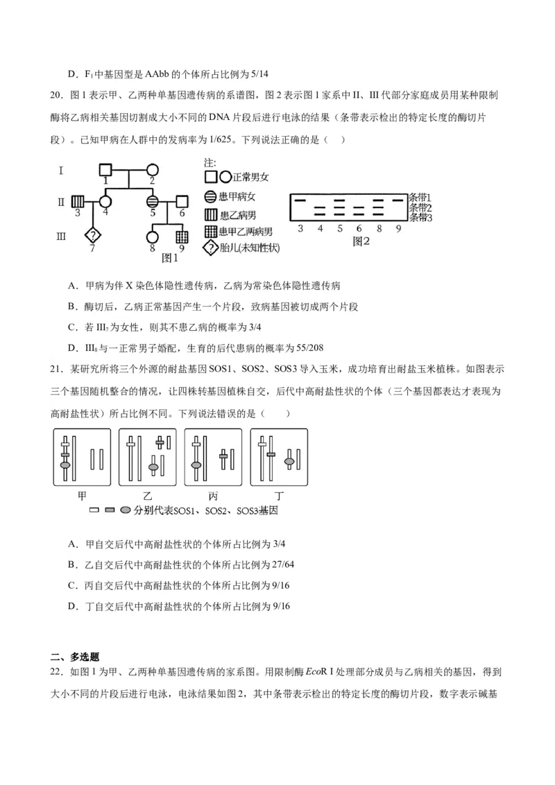 专题17自由组合（原卷版)_2024年新高考资料_3.2024专项复习_备战2024年高考生物一轮复习重难点专项突破_专题17自由组合定律