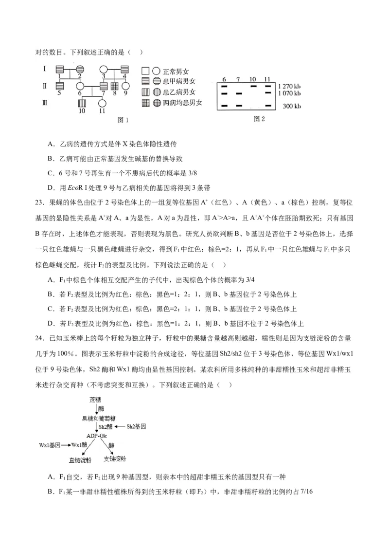 专题17自由组合（原卷版)_2024年新高考资料_3.2024专项复习_备战2024年高考生物一轮复习重难点专项突破_专题17自由组合定律