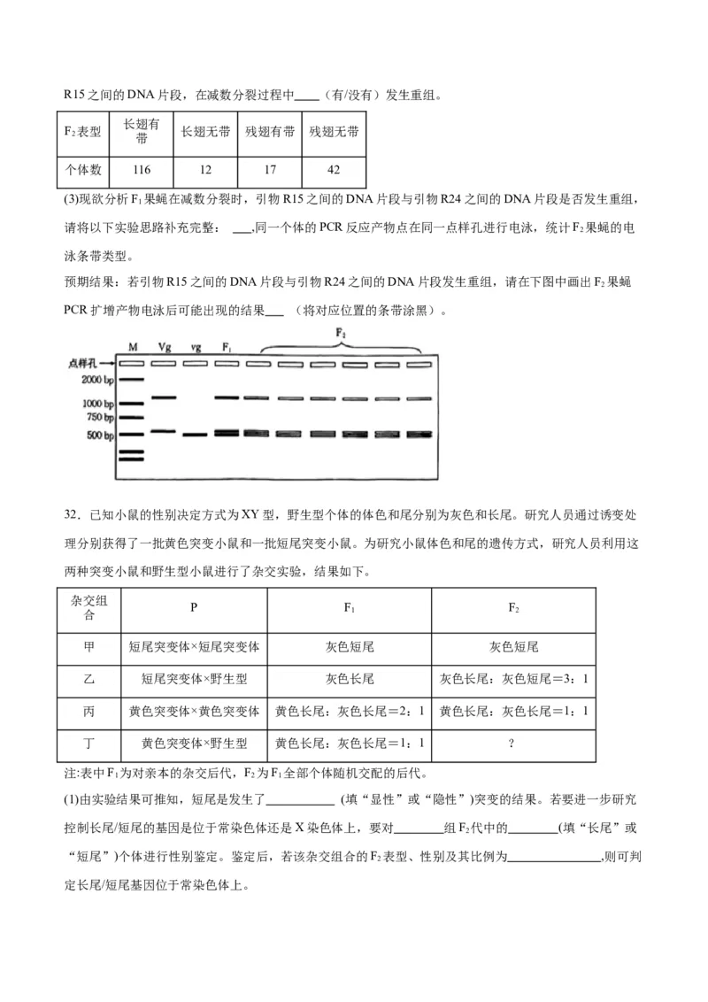专题17自由组合（原卷版)_2024年新高考资料_3.2024专项复习_备战2024年高考生物一轮复习重难点专项突破_专题17自由组合定律